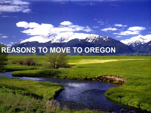 Moved to my husbands hometown of Portland, Oregon.