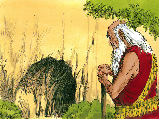 Death and burial of Sarah.