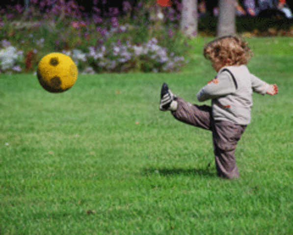 Decimosexto  mes de vida