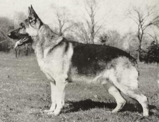 High Suspicion in the US