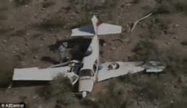 black dove white raven