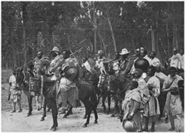 Black Dove White Raven