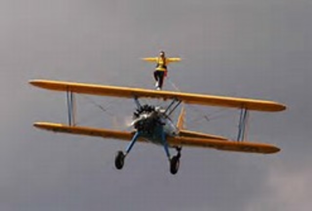 Black Dove White Raven