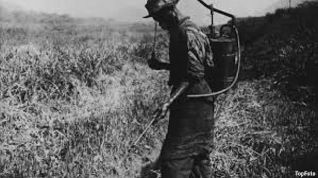 Gorges Nearly Wipes Out Yellow Fever