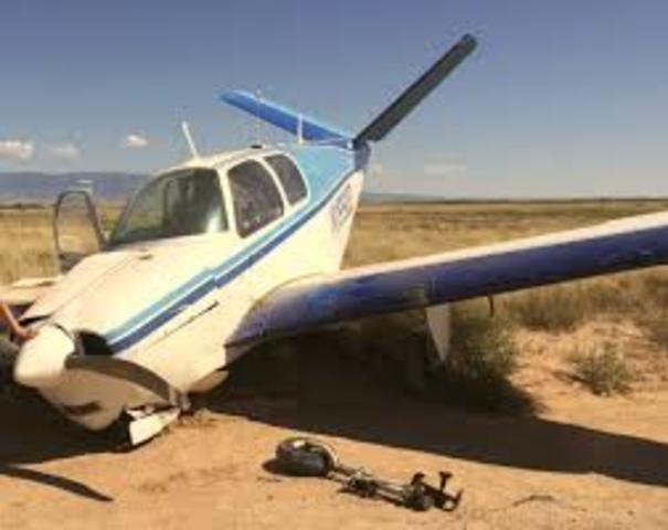 Black Dove White Raven