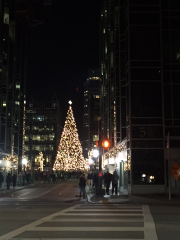 Lighting of the Tree