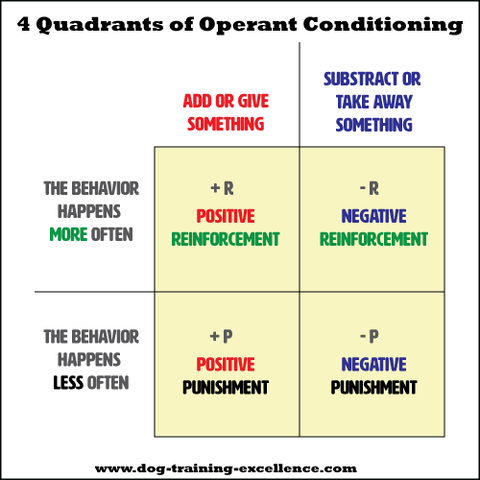 Skinner's Operant Conditioning
