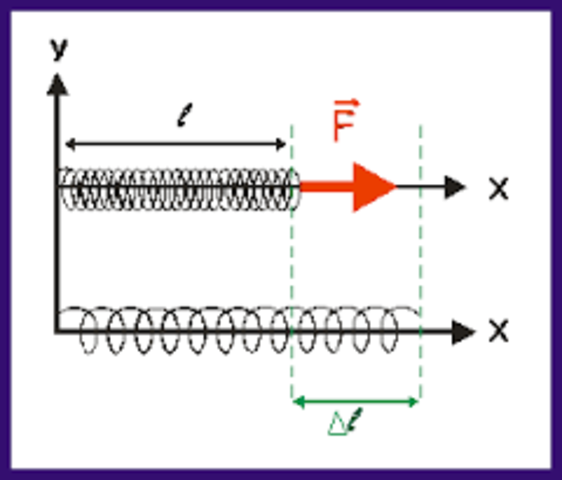 Malgutasunaren legea