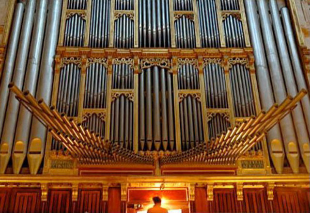 Organista