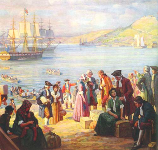 Effects of the Loyalists