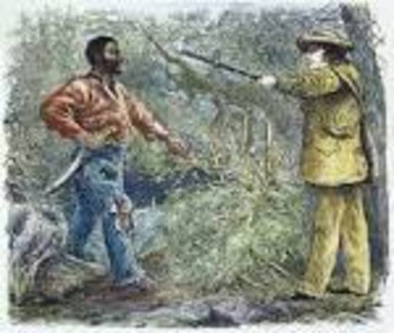 Nat Turner's Slave Rebellion