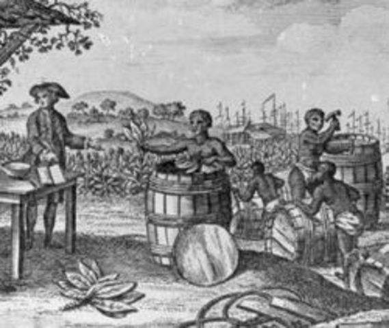 Introduction of Tobacco