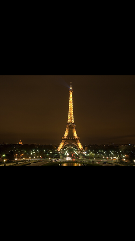 Leonardo and the French