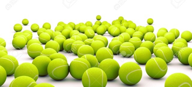 First Lawn Tennis Championship