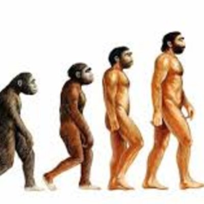 Timeline: Magazine Ad's from the 1920's to Present