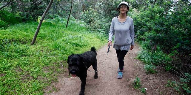 Reglamento de Conaf impedirá el ingreso de mascotas a parques nacionales