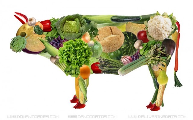 Carniceria vegetariana