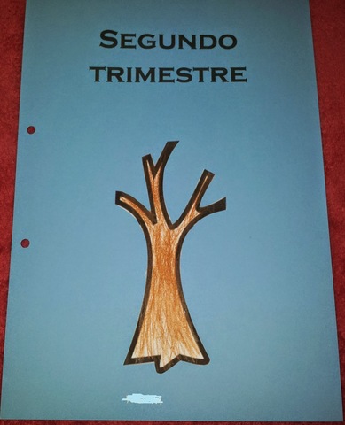 PRESENTACION DE LA PROGRAMACIÓN DEL TRIMESTRE