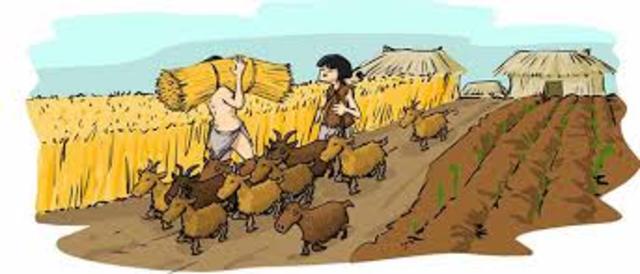 Domesticación de Animales