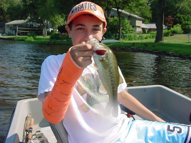 My Favorite Color Is Orange