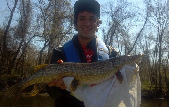 Eric's Pike