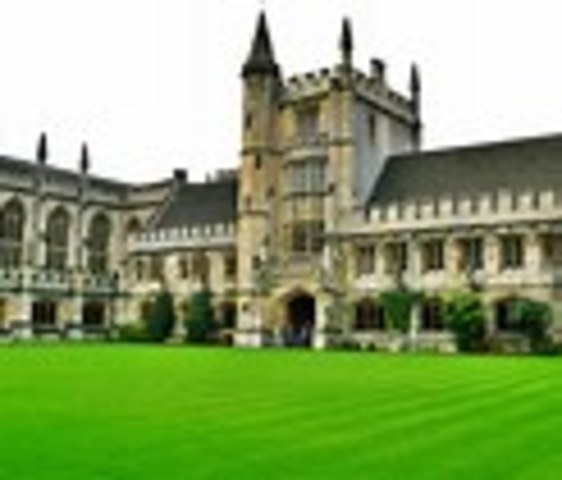 Starts working career