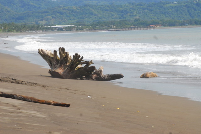 Aplicación móvil de información oceanográfica