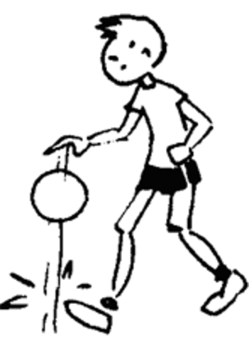 COORDINACION SEGMENTARIA