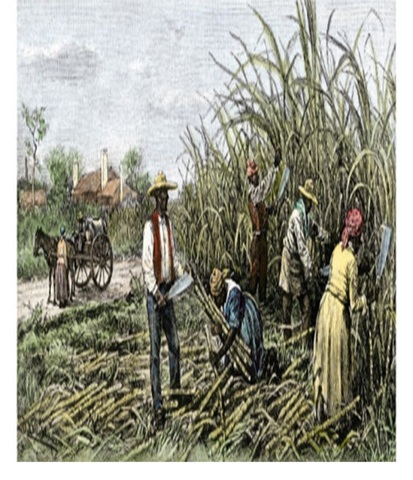 Slaves Brought to Jamestown (World Event)