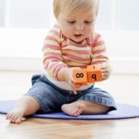 SEIS MESES MOTRICIDAD FINA