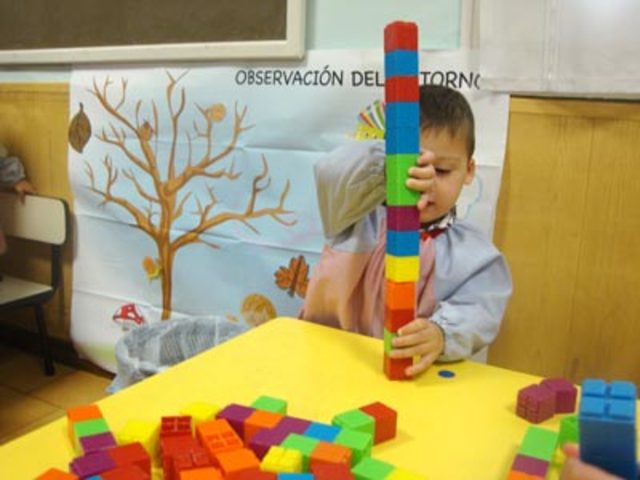 DOS AÑOS MOTROCIDAD FINA