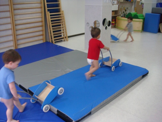 Educativa, reeducativa y terapéutica 0 meses