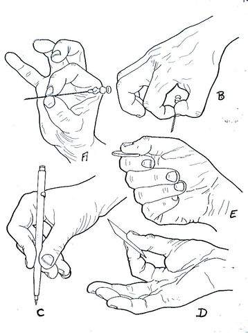 Educativa, reeducativa y terapéutica