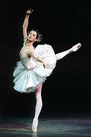 Так появились пуанты