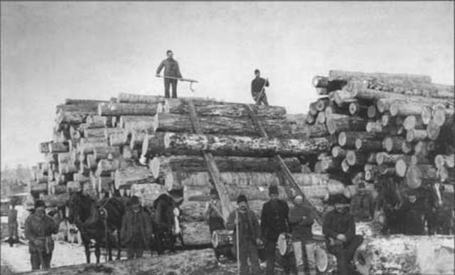 British Association Began to Study Forest Destruction