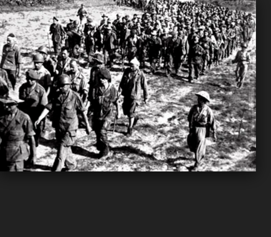 The French fleed Vietnam