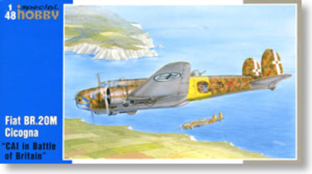 Last major daylight assult