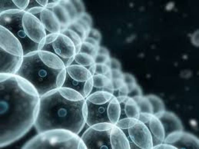 The origins of Psychology