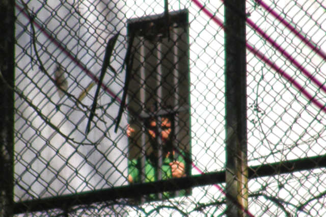 Condenan a López a 13 años de prisión