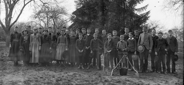 Movimiento Conservacionista