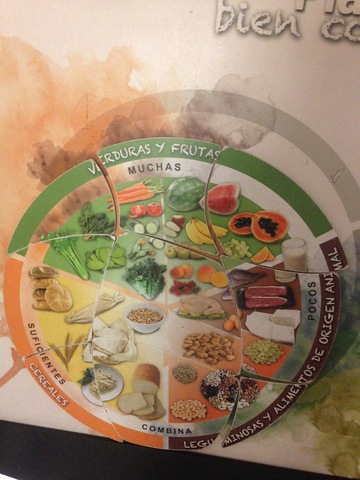 4 AÑOS ALIMENTACIÓN