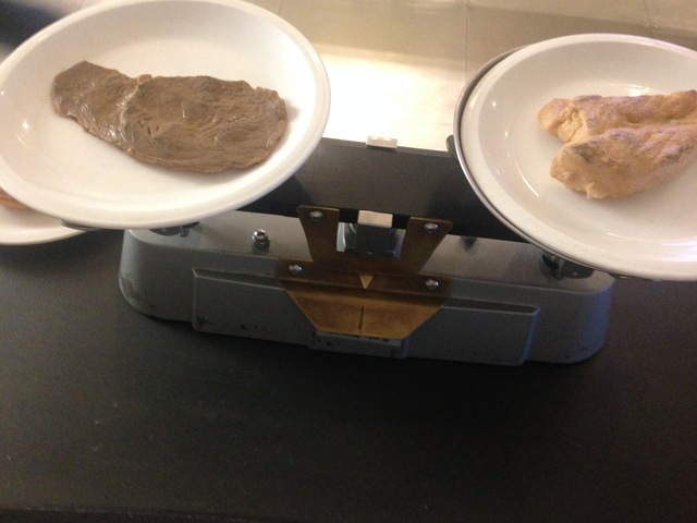 Alimentación durante el periodo embrionario