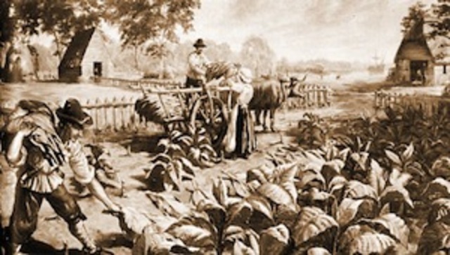 Jamestown:Headright system