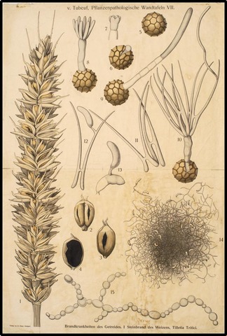 Izendapen berria jaso zuen.