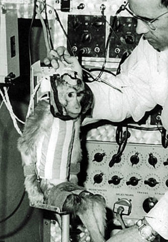 First Primate in Space