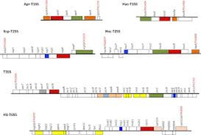 De 1830 hasta este año científicos encontraron que estarelación se extendía mas allá de las triadas. Nuevos pensamientos