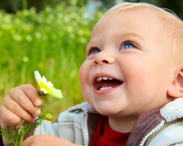 24-30 months cognitive