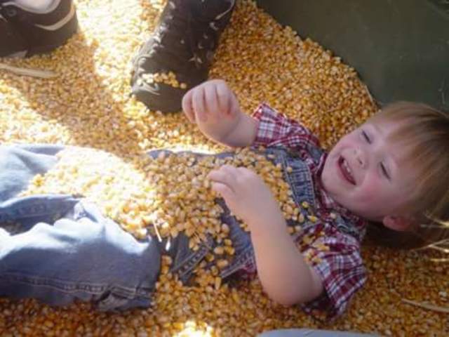 Birth of Little Brother