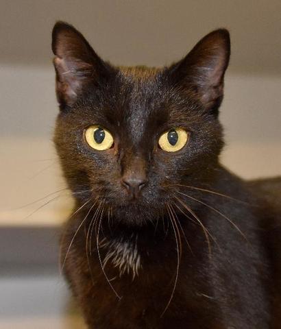 Katz v. United States