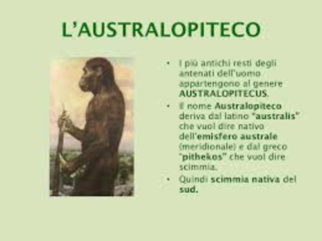 L'albero della "famiglia" umana